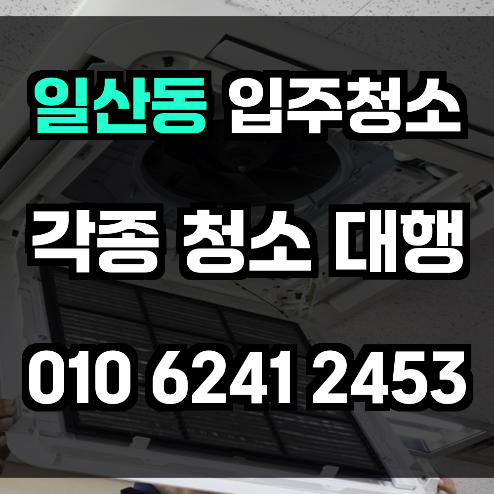 일산동 입주청소