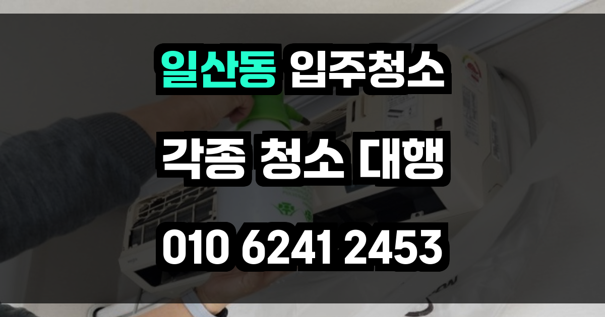 일산동 입주청소
