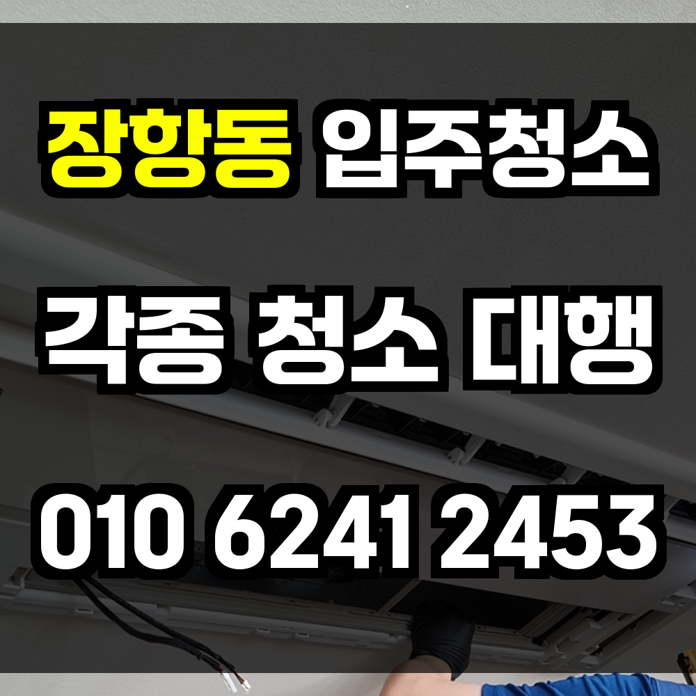 장항동 입주청소