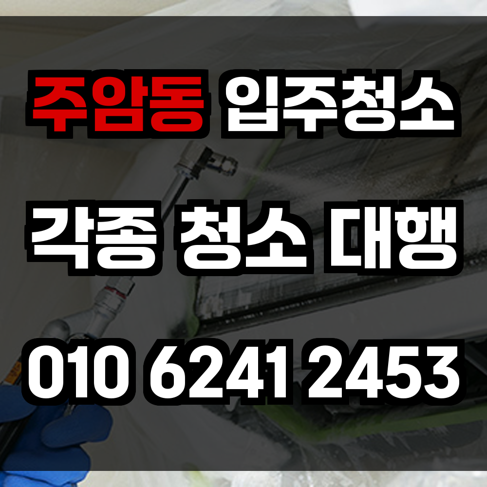 주암동 입주청소