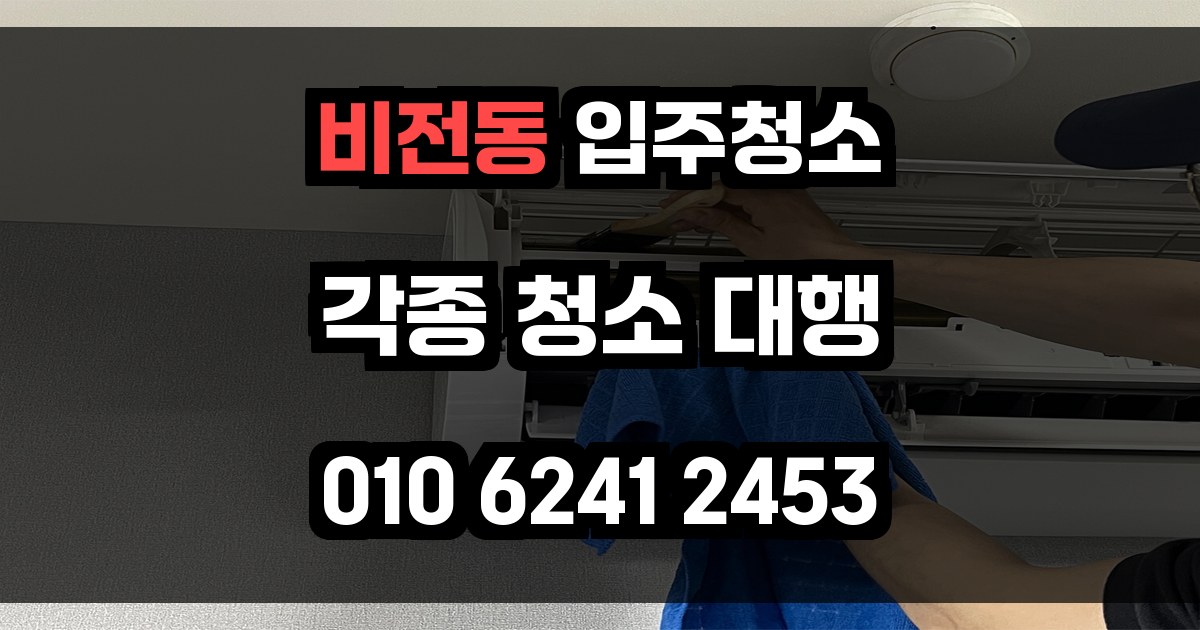 비전동 입주청소