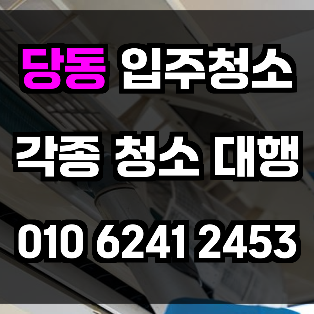 당동 입주청소