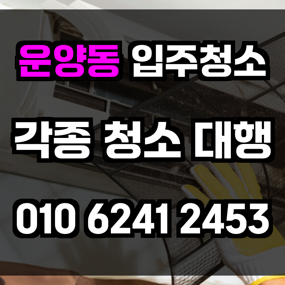 운양동 입주청소