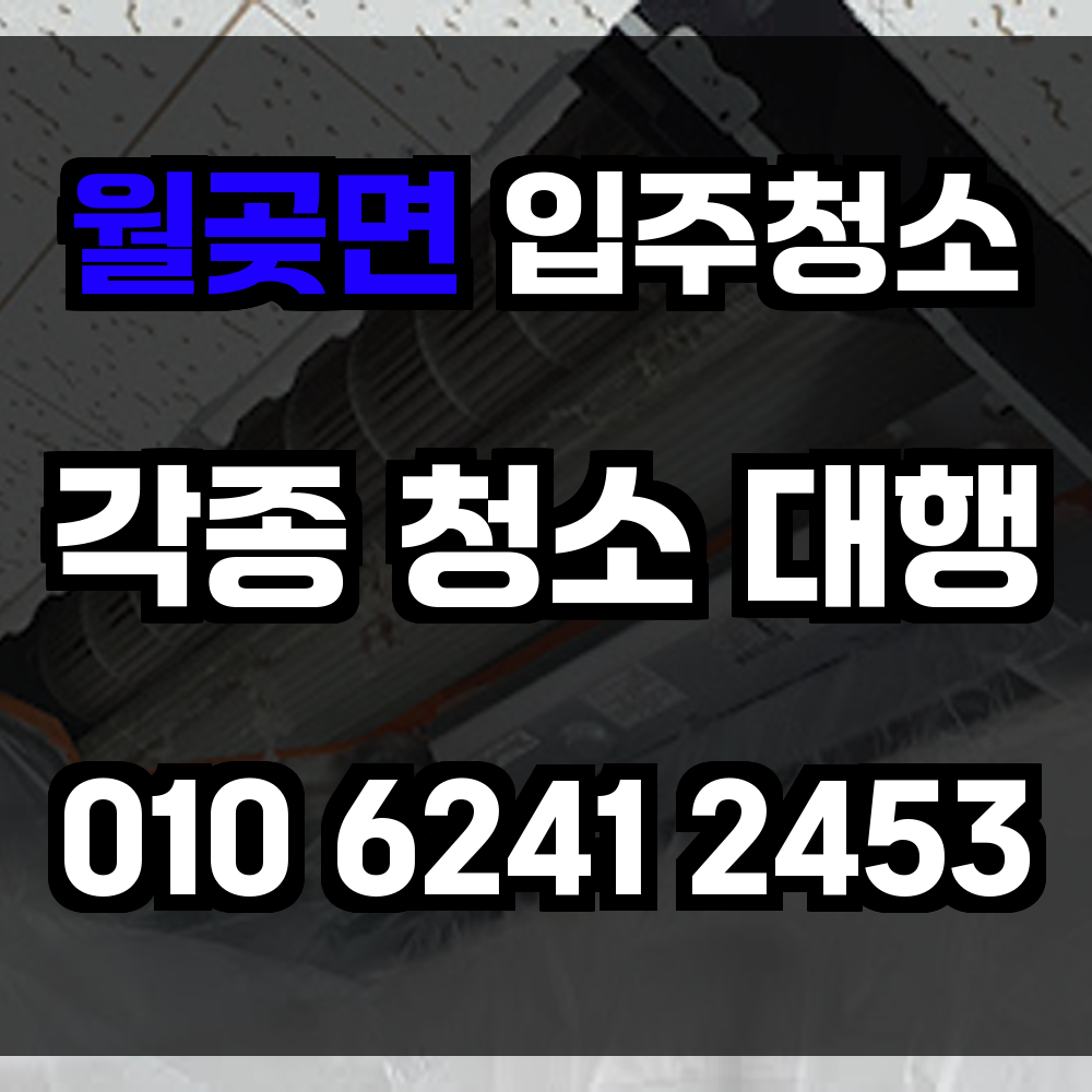 월곶면 입주청소