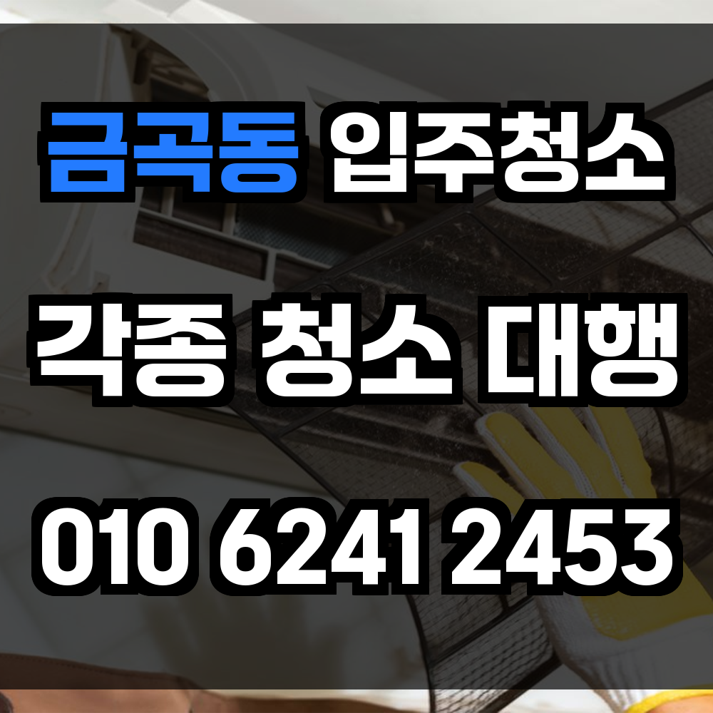 금곡동 입주청소