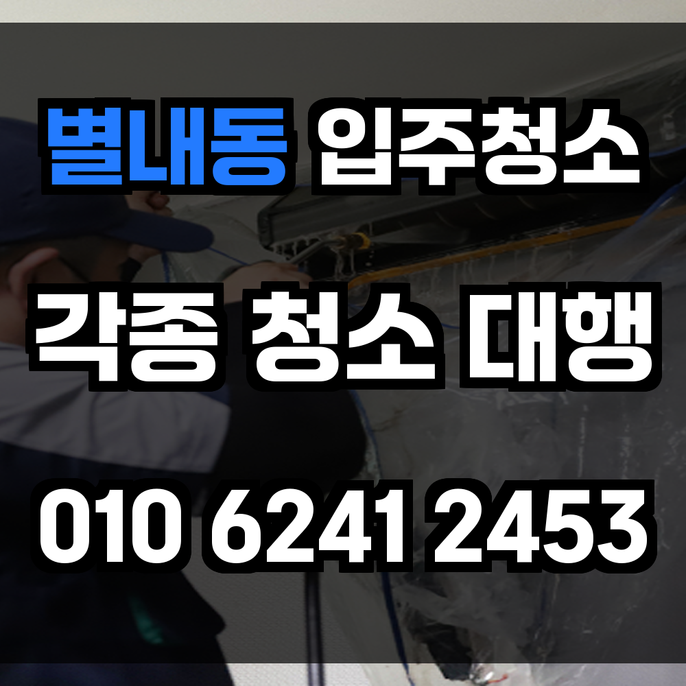 별내동 입주청소