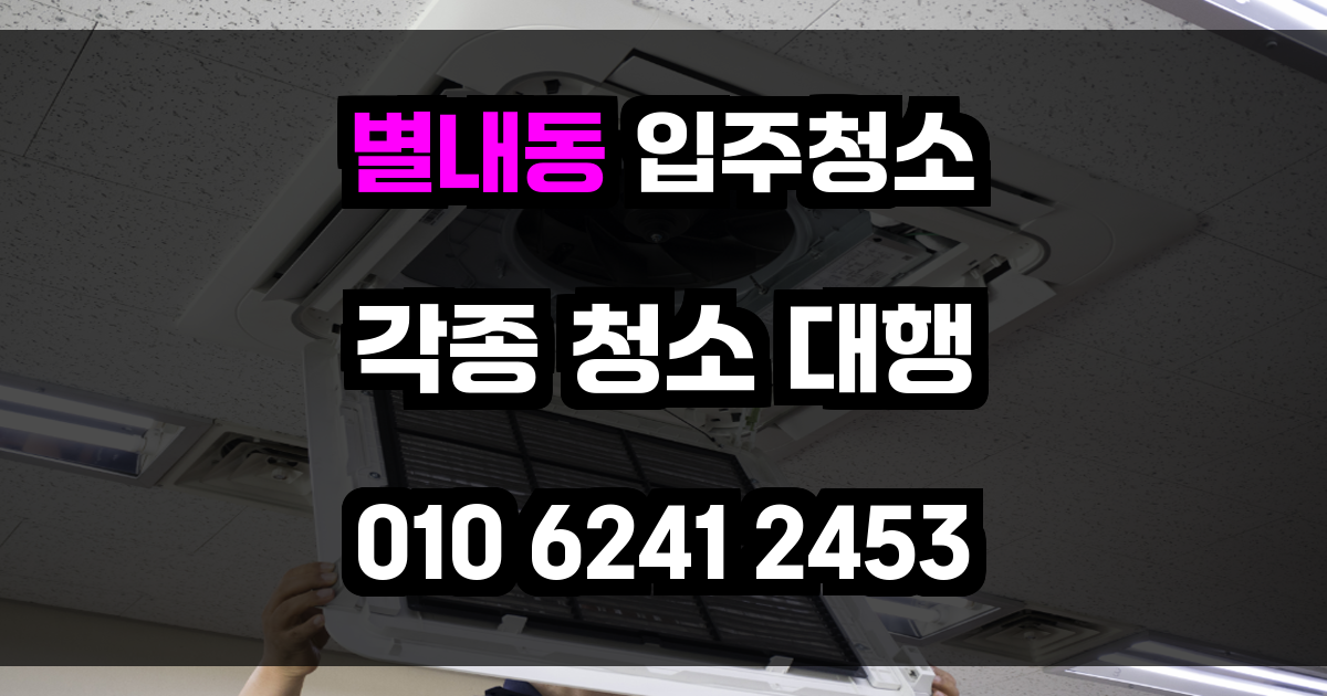 별내동 입주청소