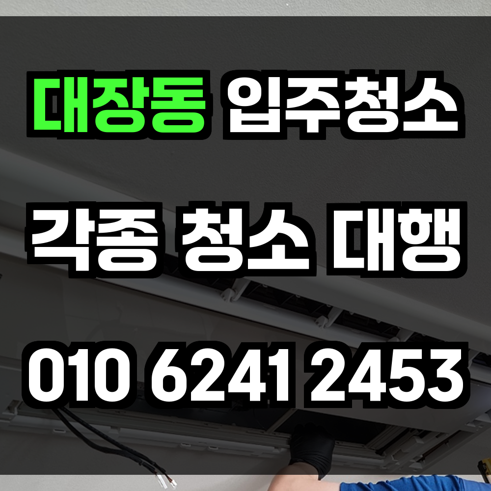 대장동 입주청소