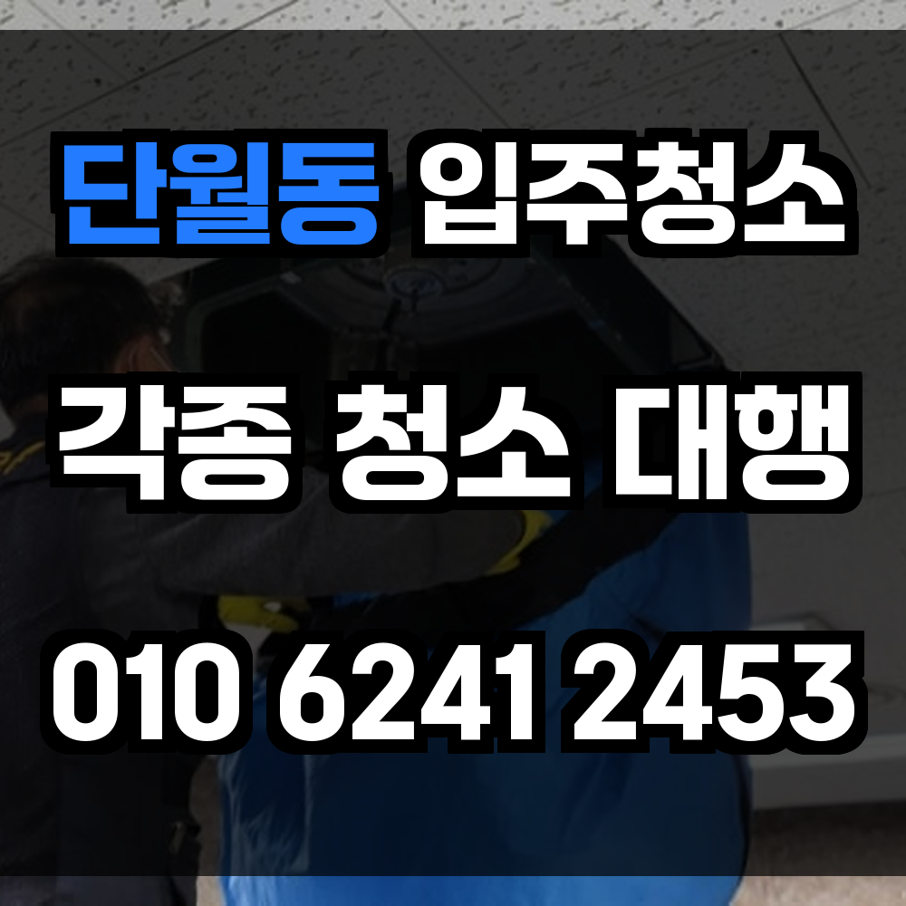 단월동 입주청소