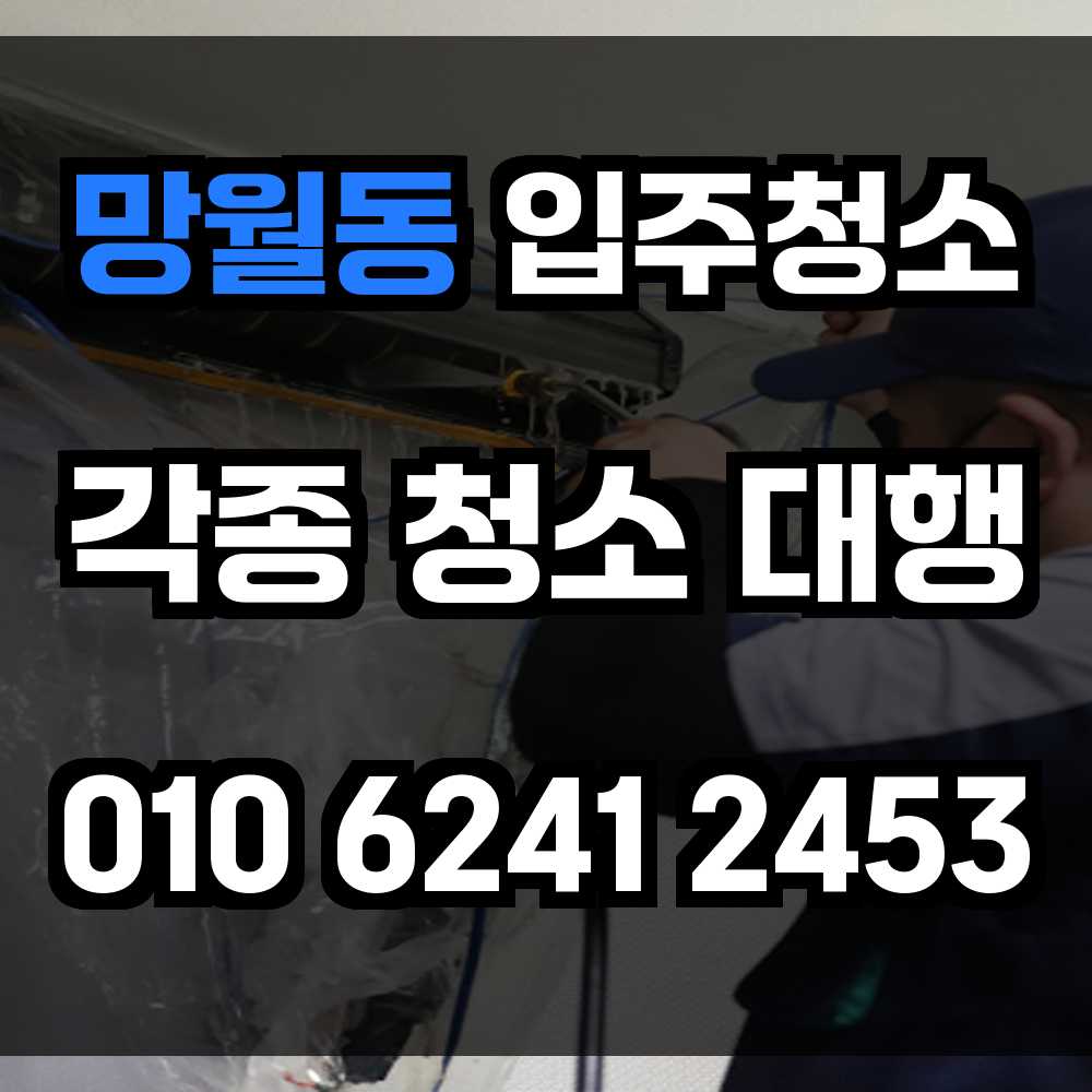망월동 입주청소