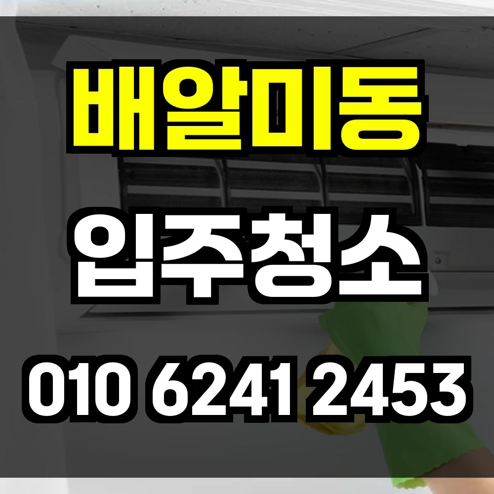 배알미동 입주청소