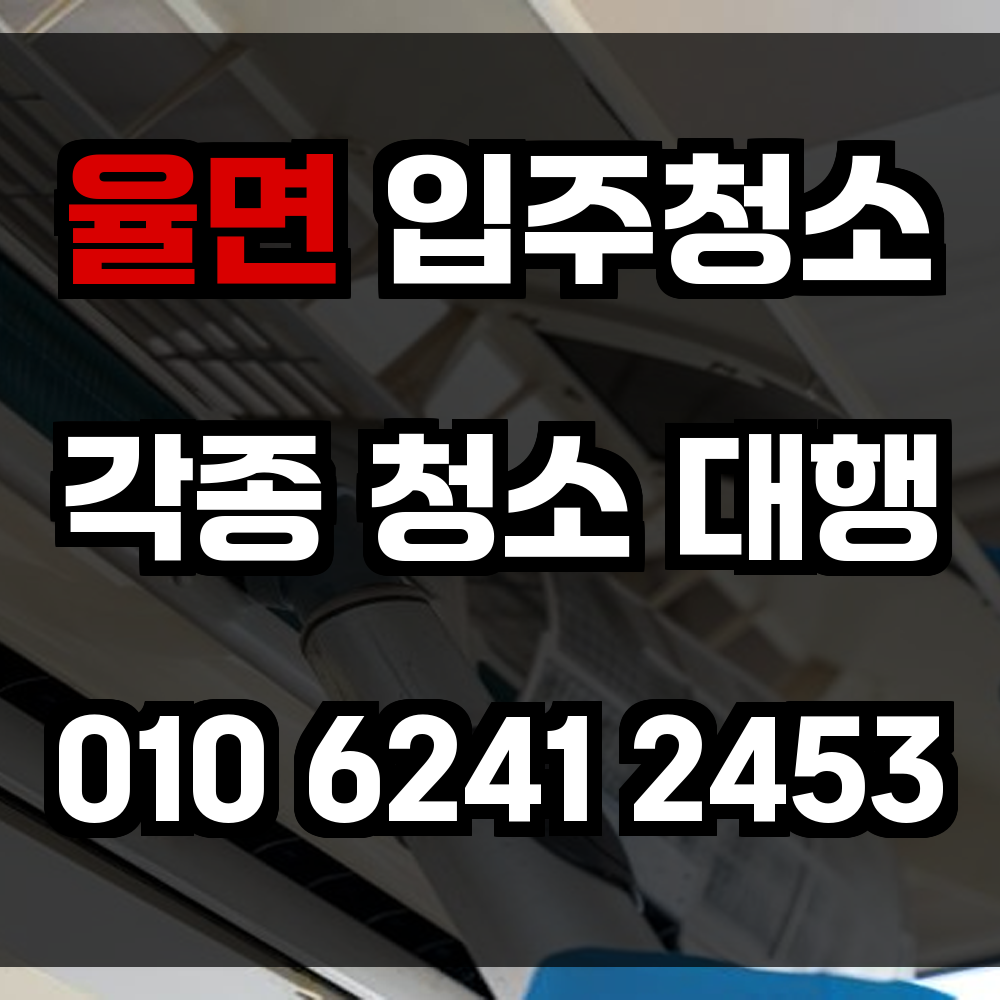 율면 입주청소