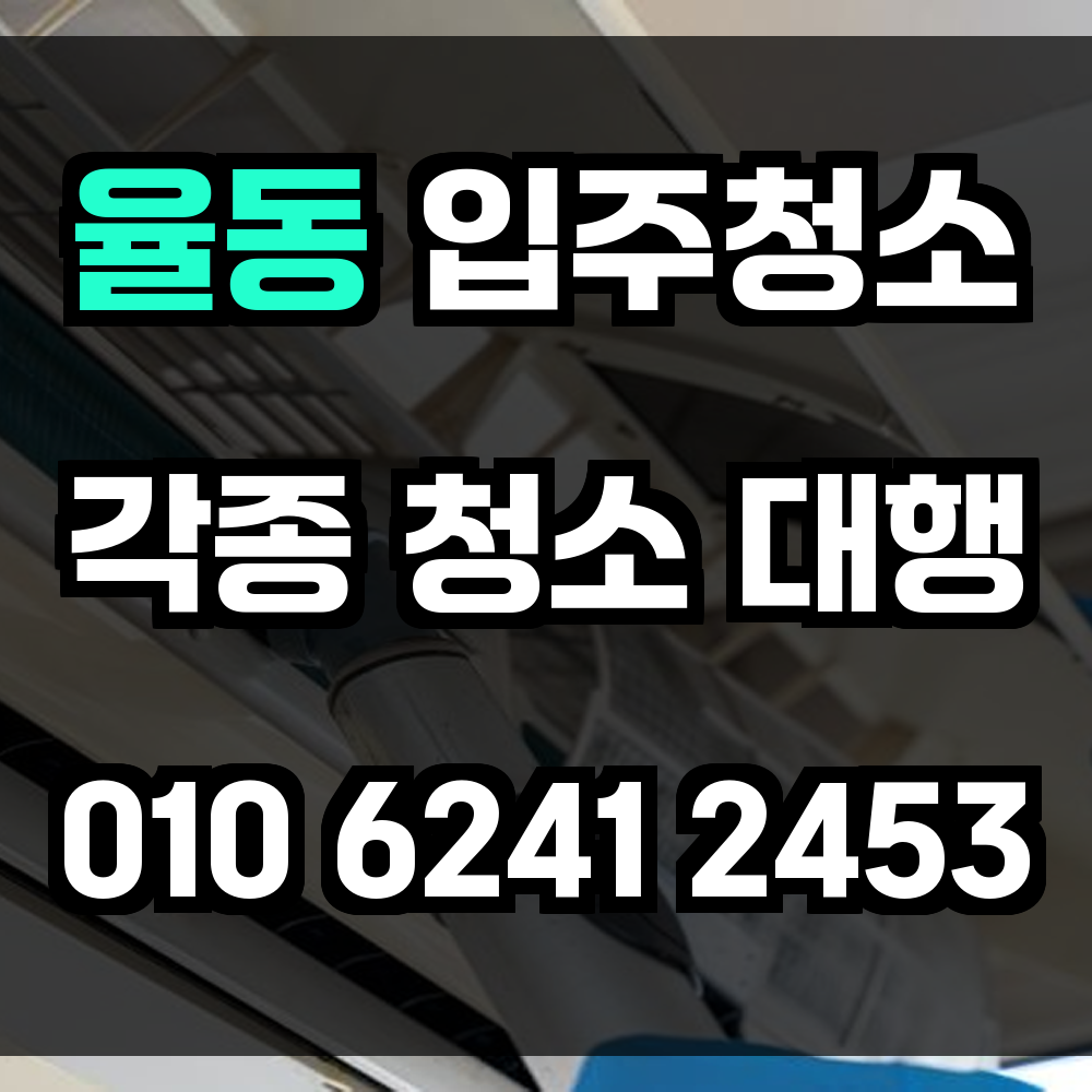 율동 입주청소