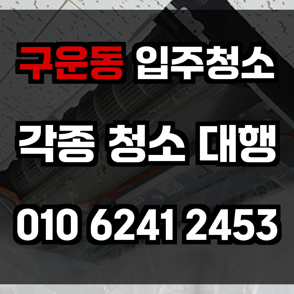 구운동 입주청소