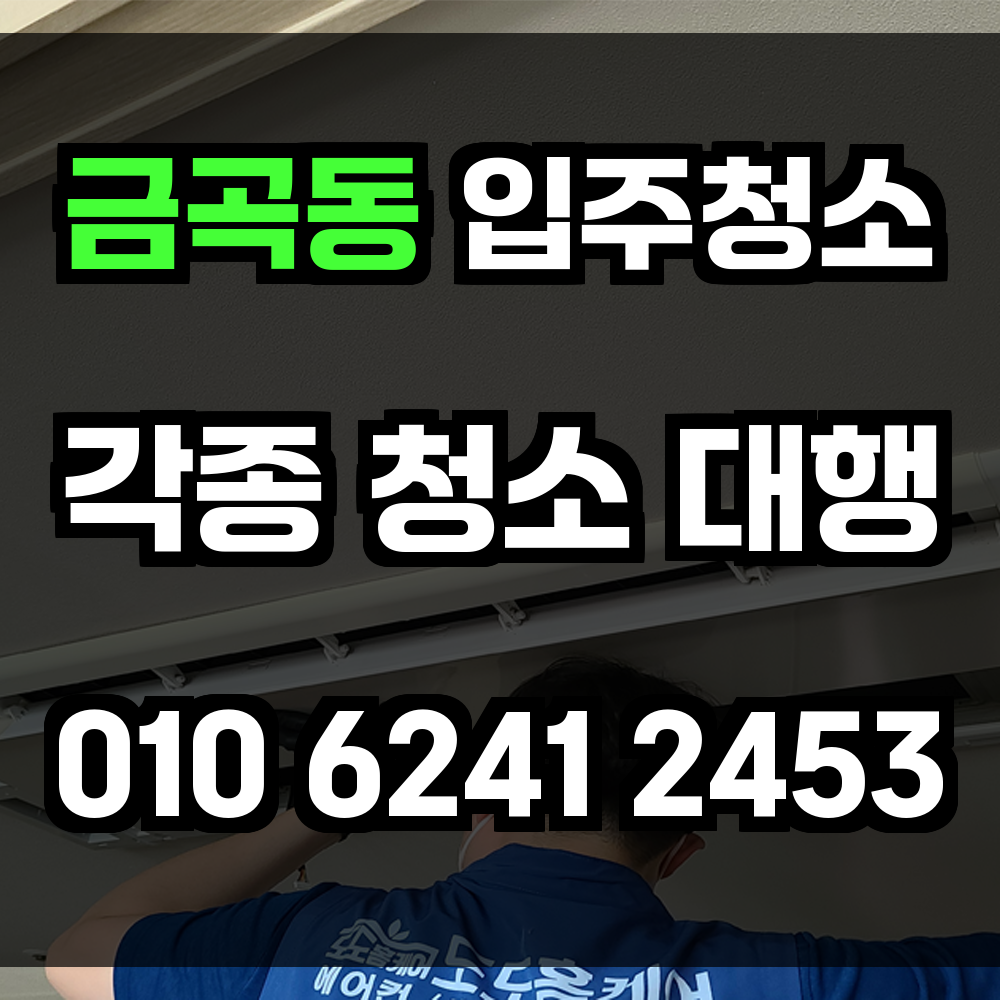 금곡동 입주청소