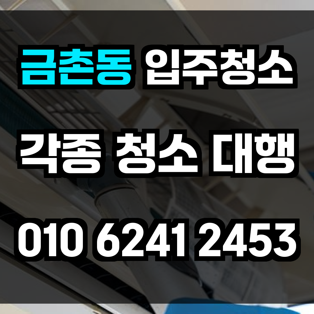 금촌동 입주청소 시작으로 깔끔한 새출발 청결한 공간을 만나다