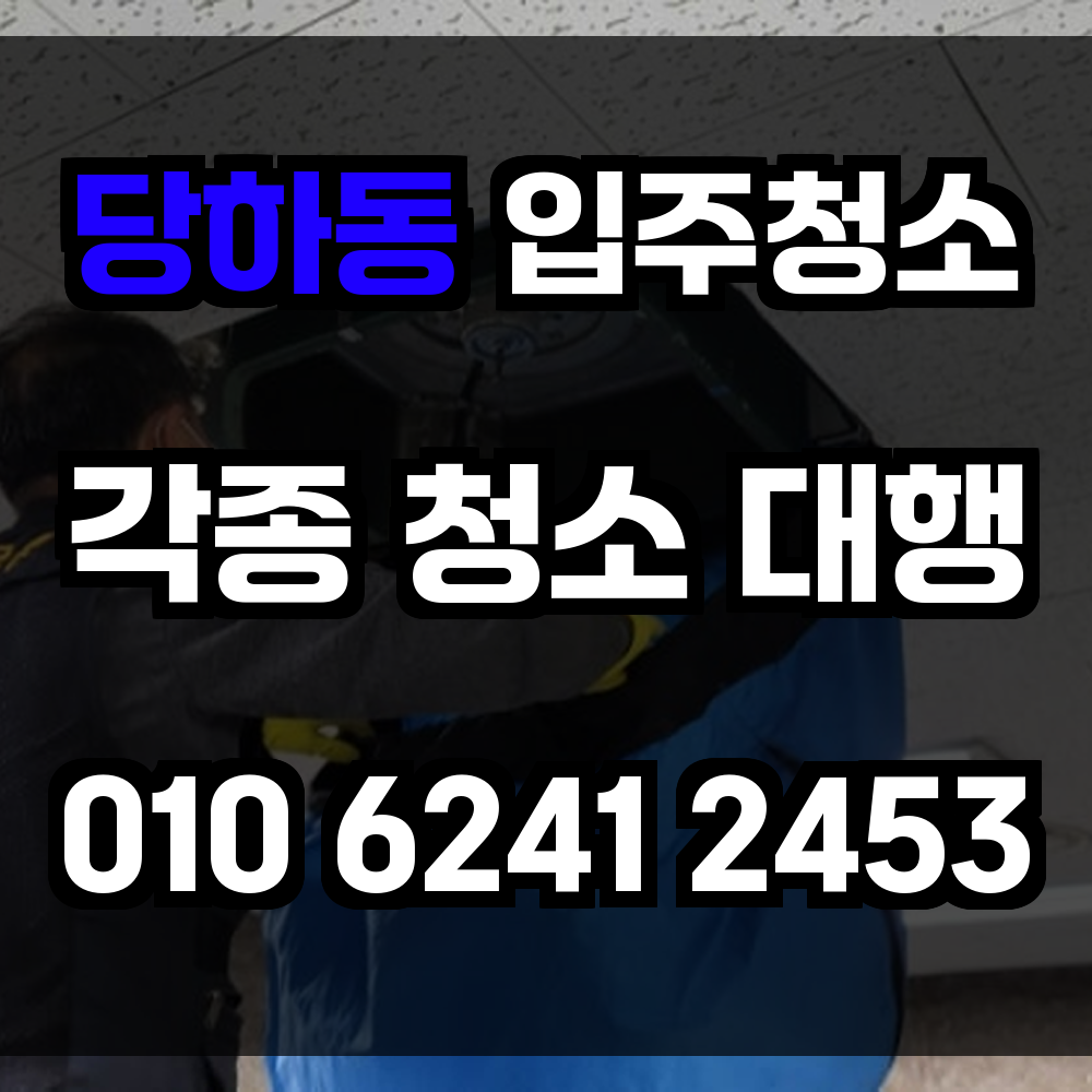 당하동 입주청소 위생부터 완성하는 새로운 보금자리 청소 솔루션