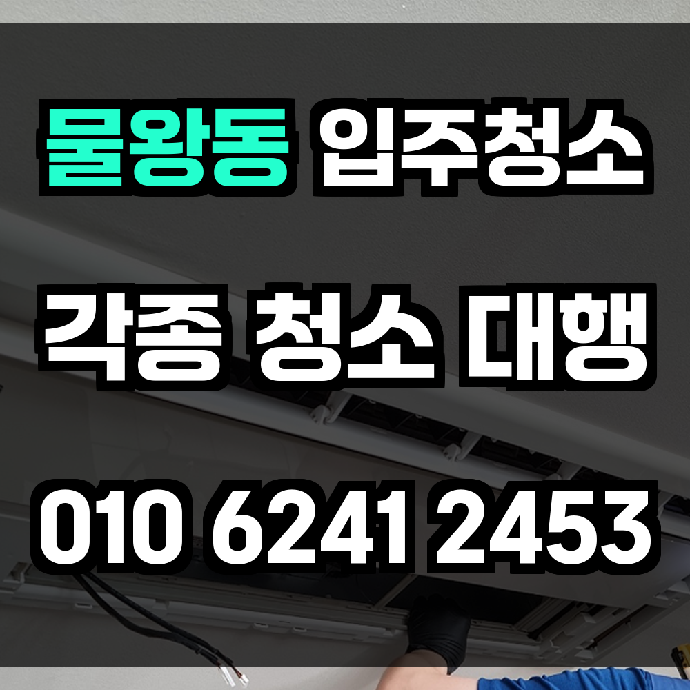 물왕동 입주청소