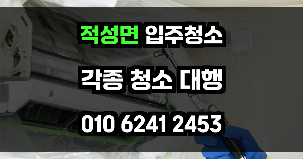 적성면 입주청소
