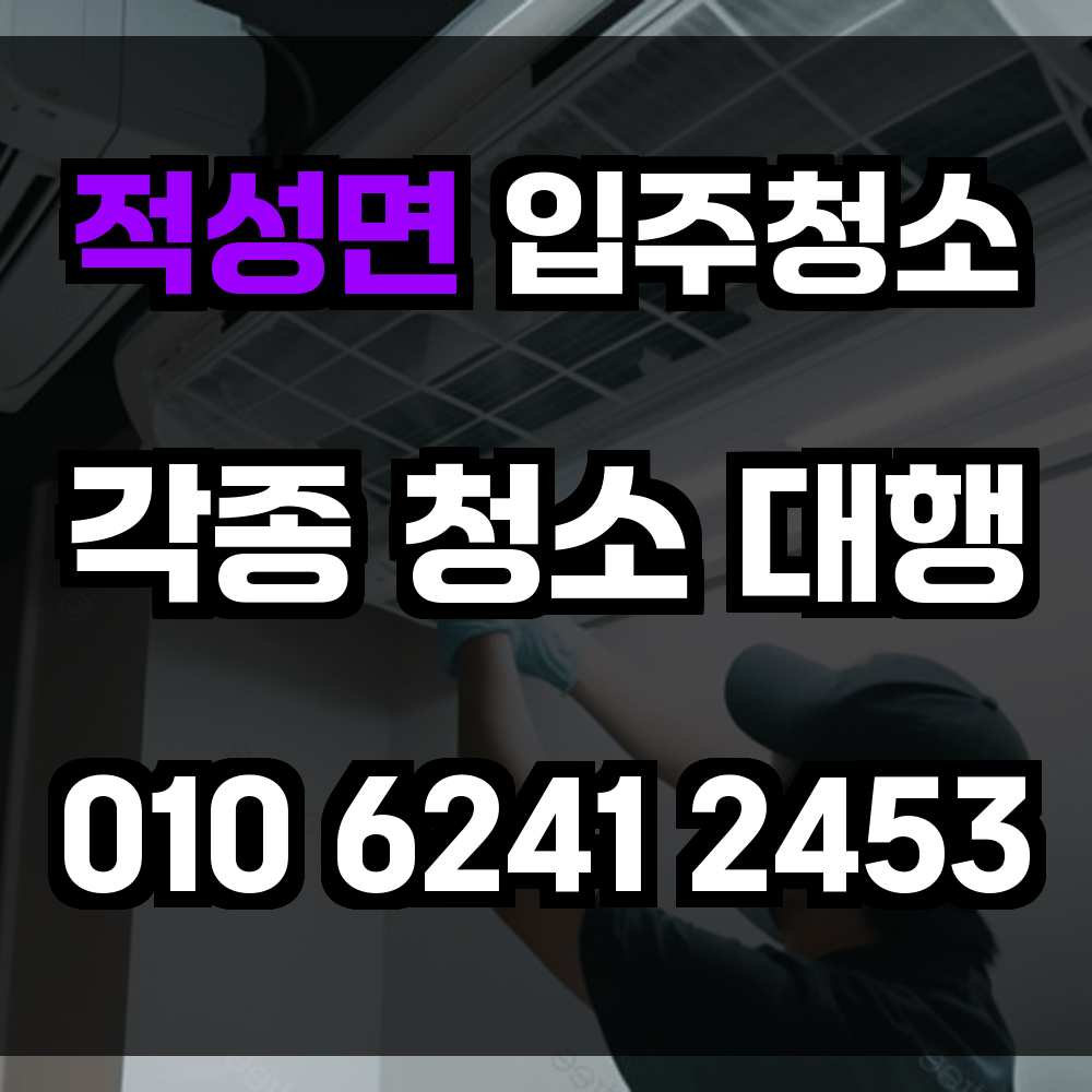 적성면 입주청소
