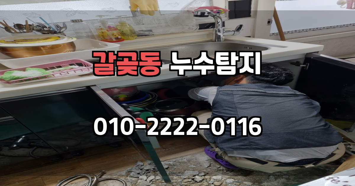 갈곶동 누수탐지