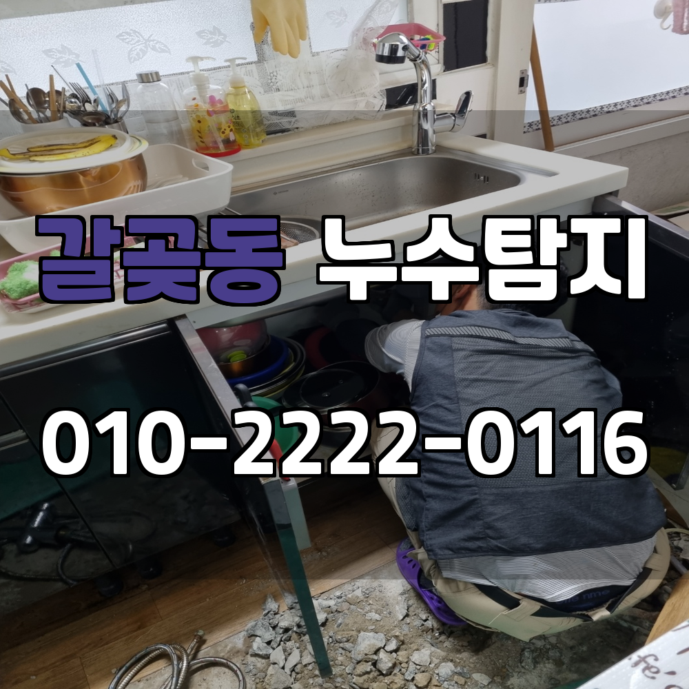 갈곶동 누수탐지 서비스 지역