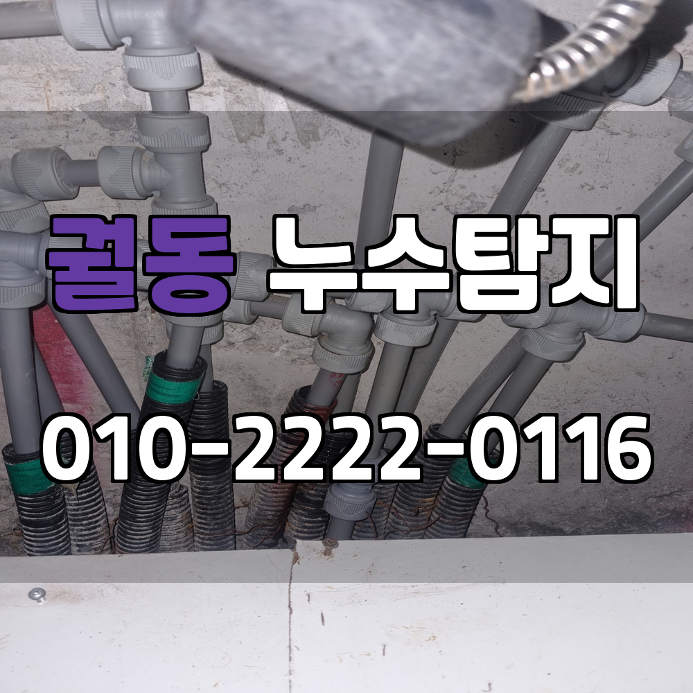 궐동 누수탐지 서비스 지역