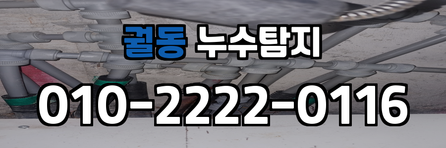 궐동 누수탐지 비용