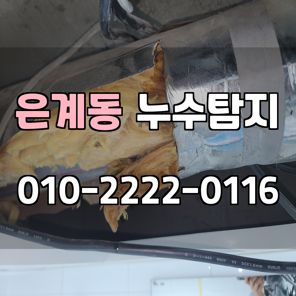 은계동 누수탐지 서비스 지역