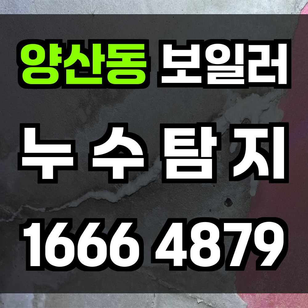 양산동 보일러 누수탐지 전문 진단 서비스