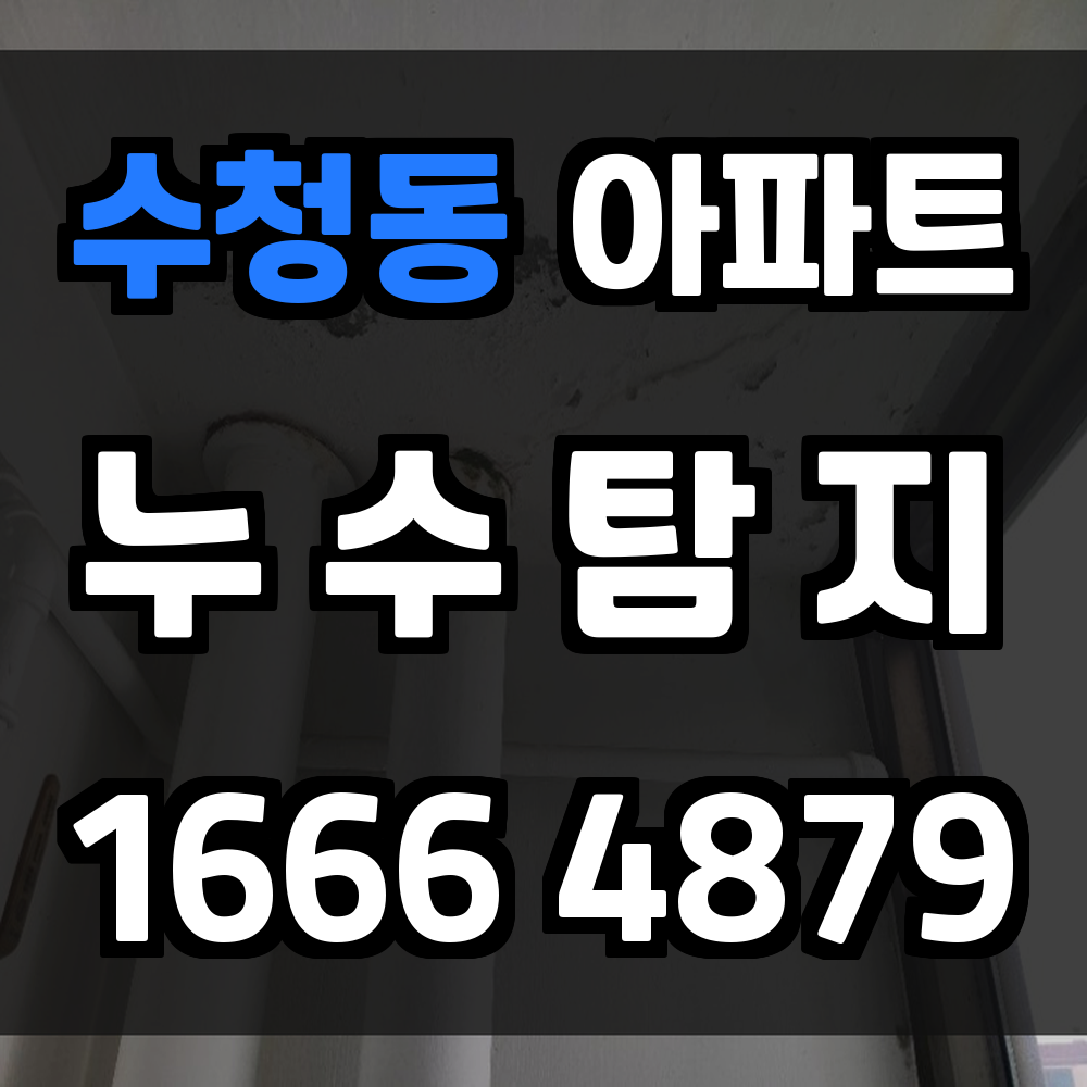 수청동 아파트 누수탐지 정확한 장비로 완벽한 진단