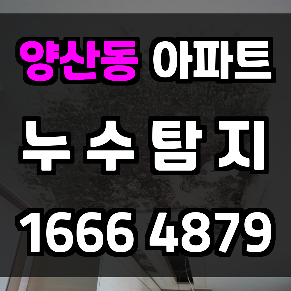양산동 아파트 누수탐지 세대 간 피해 확산을 막는 진단