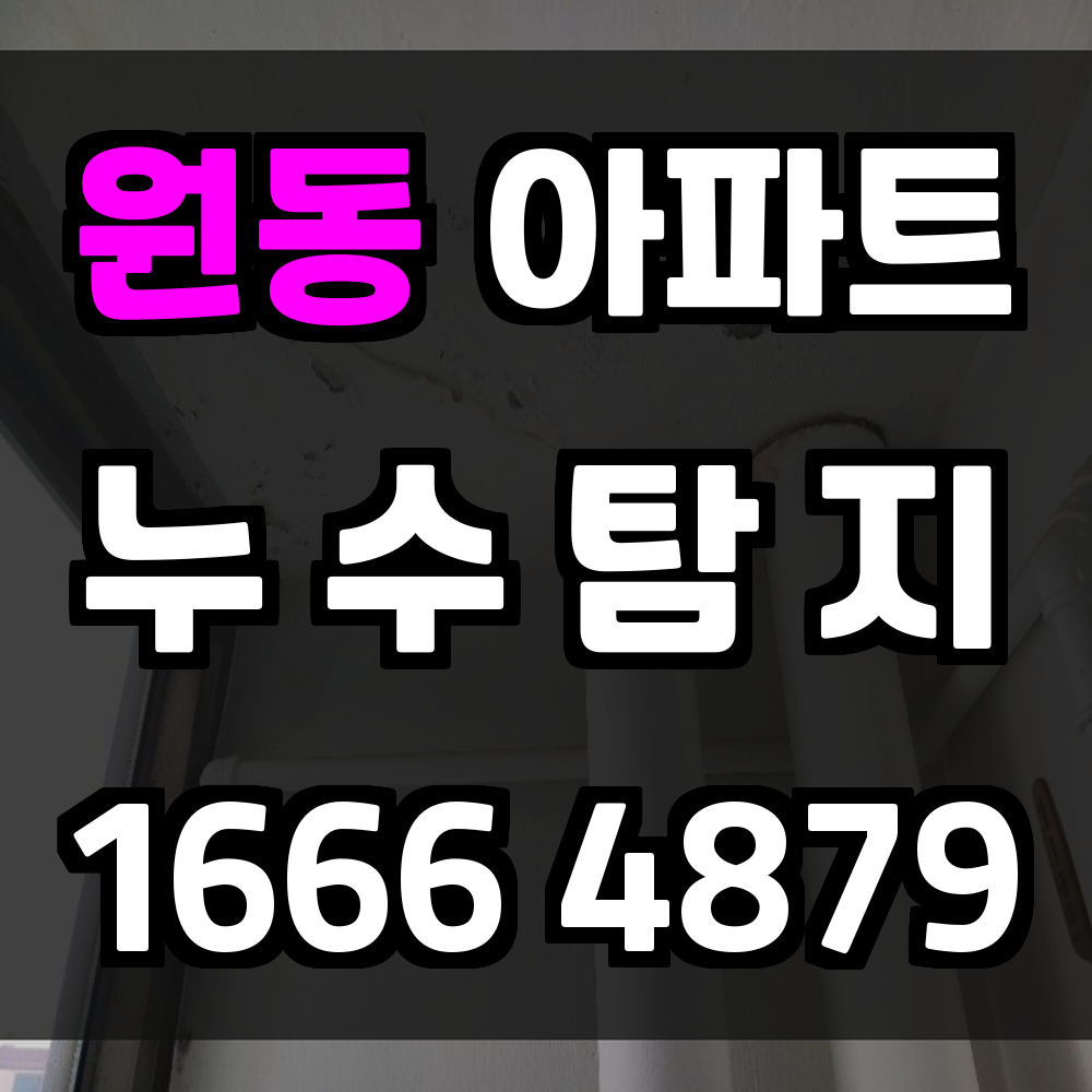 원동 아파트 누수탐지 신속 정확한 누수 확인 서비스