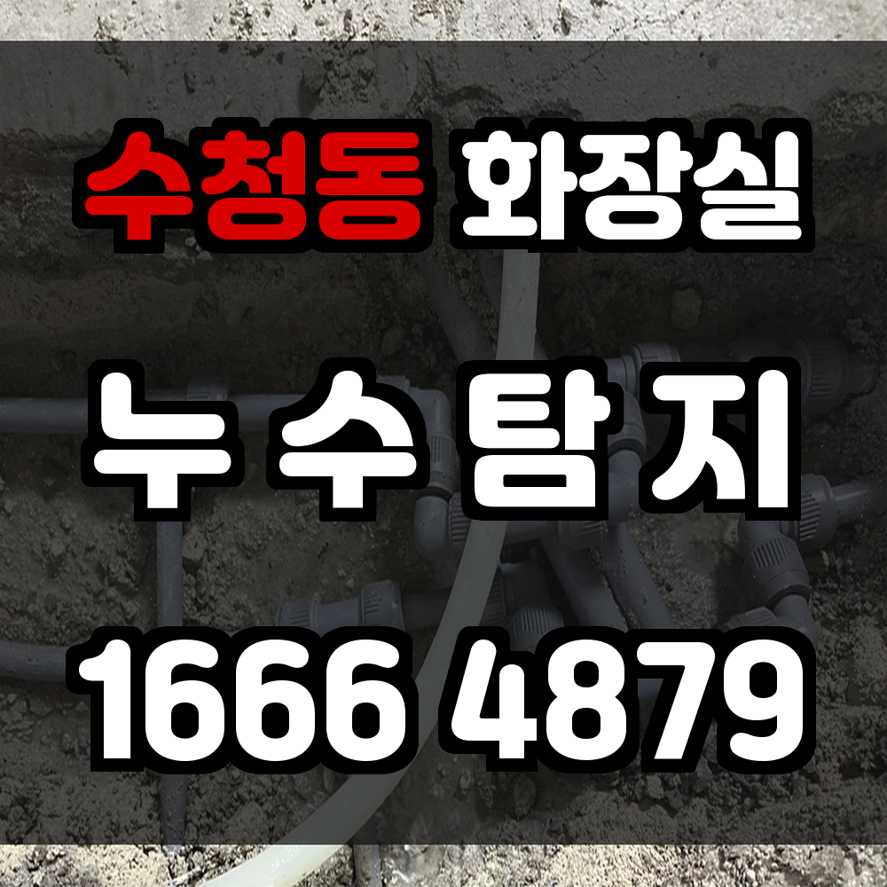 수청동 화장실 누수탐지 빠른 진단과 효율적인 수리로 피해 최소화