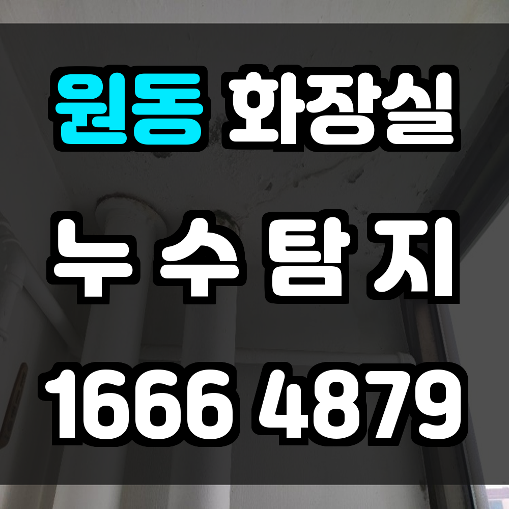 원동 화장실 누수탐지 정확한 진단과 빠른 복구로 피해 최소화