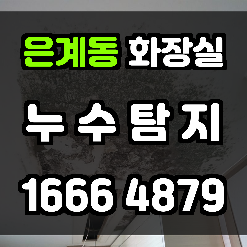 은계동 화장실 누수탐지 보이지 않는 누수까지 정확하게 찾아드립니다
