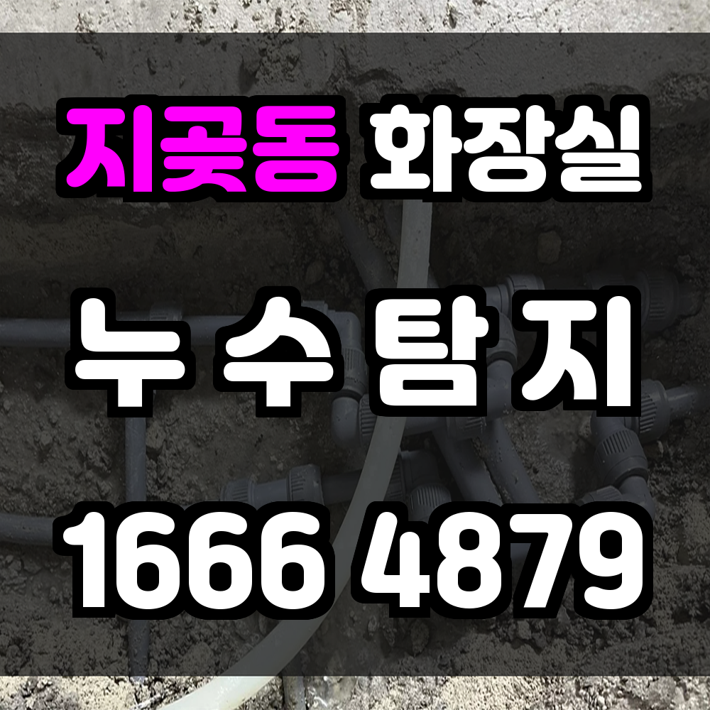 지곶동 화장실 누수탐지 정밀 장비로 빠르게 진단하고 확실하게 복구합니다