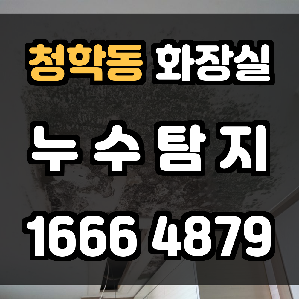 청학동 화장실 누수탐지 전문가의 정밀 진단과 신속한 복구 서비스 안내