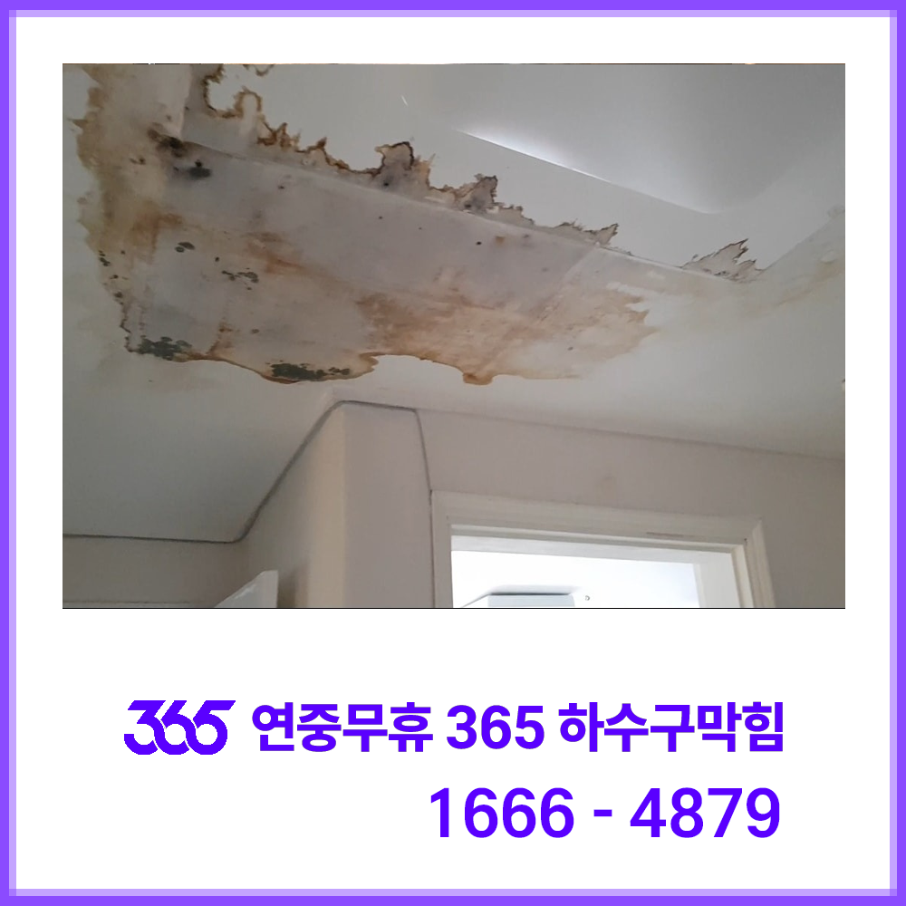 누수탐지 가격