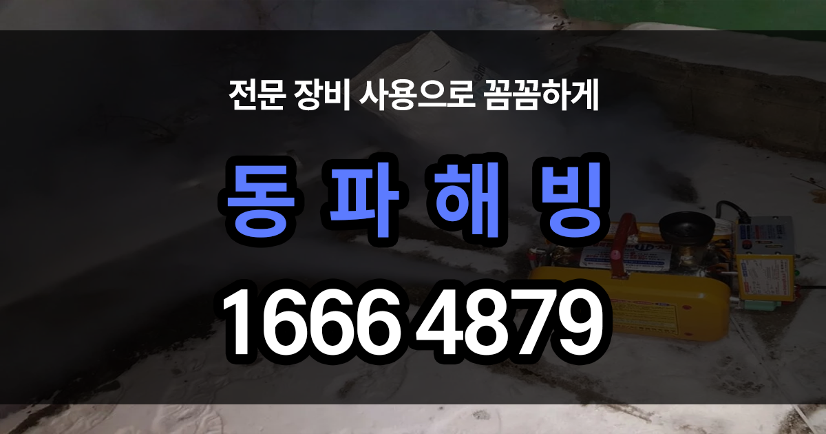 동파