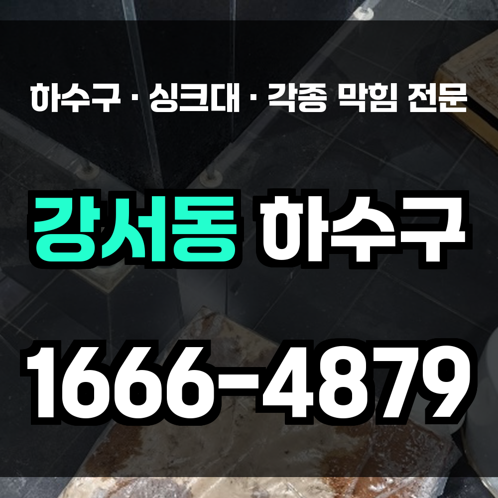 강서동 하수구 막힘