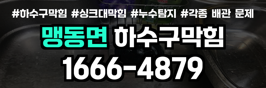 맹동면 하수구 막힘