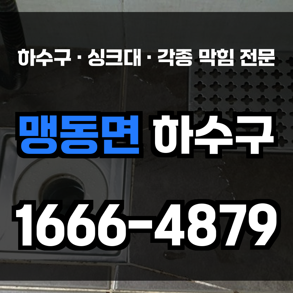 맹동면 하수구 막힘