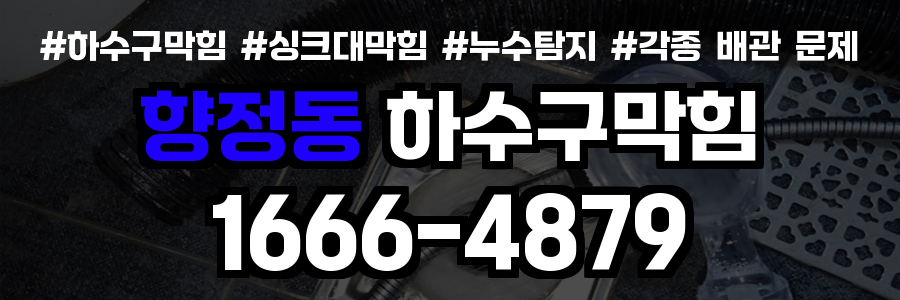향정동 하수구 막힘