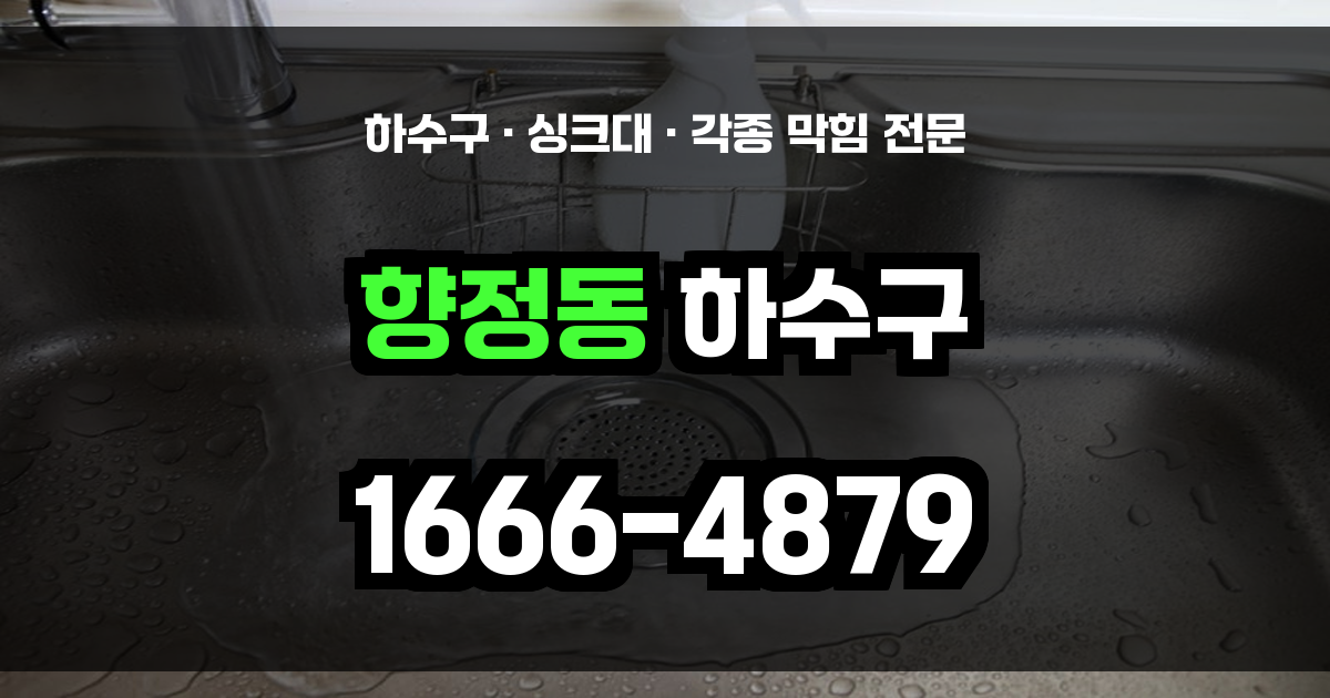 향정동 하수구 막힘
