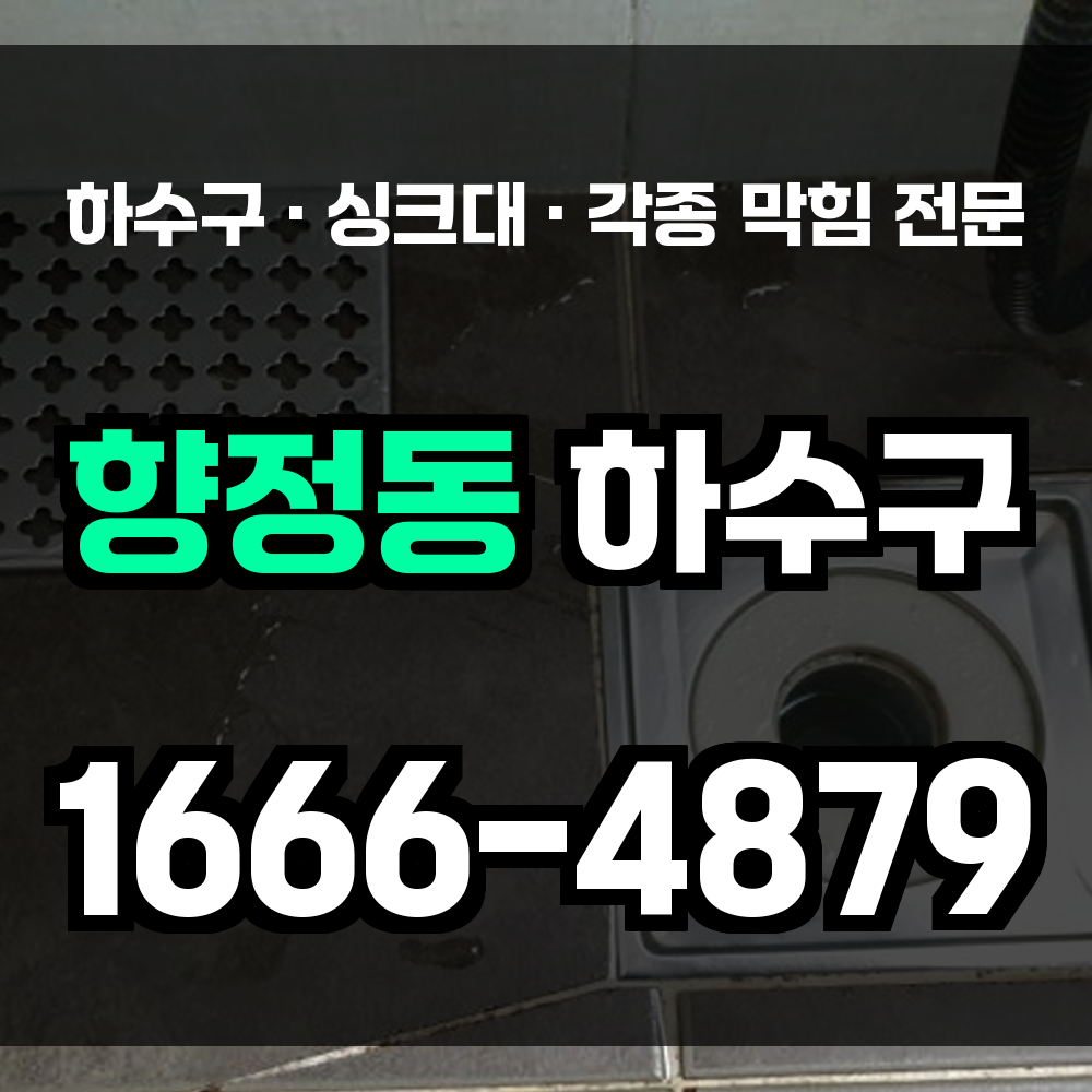 청주 향정동 하수구막힘 싱크대막힘 변기막힘 신속하게 처리합니다