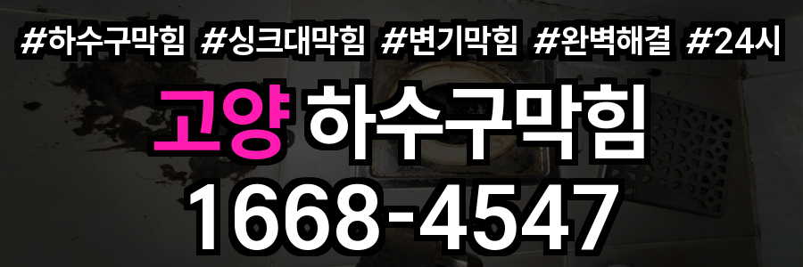 고양 하수구막힘