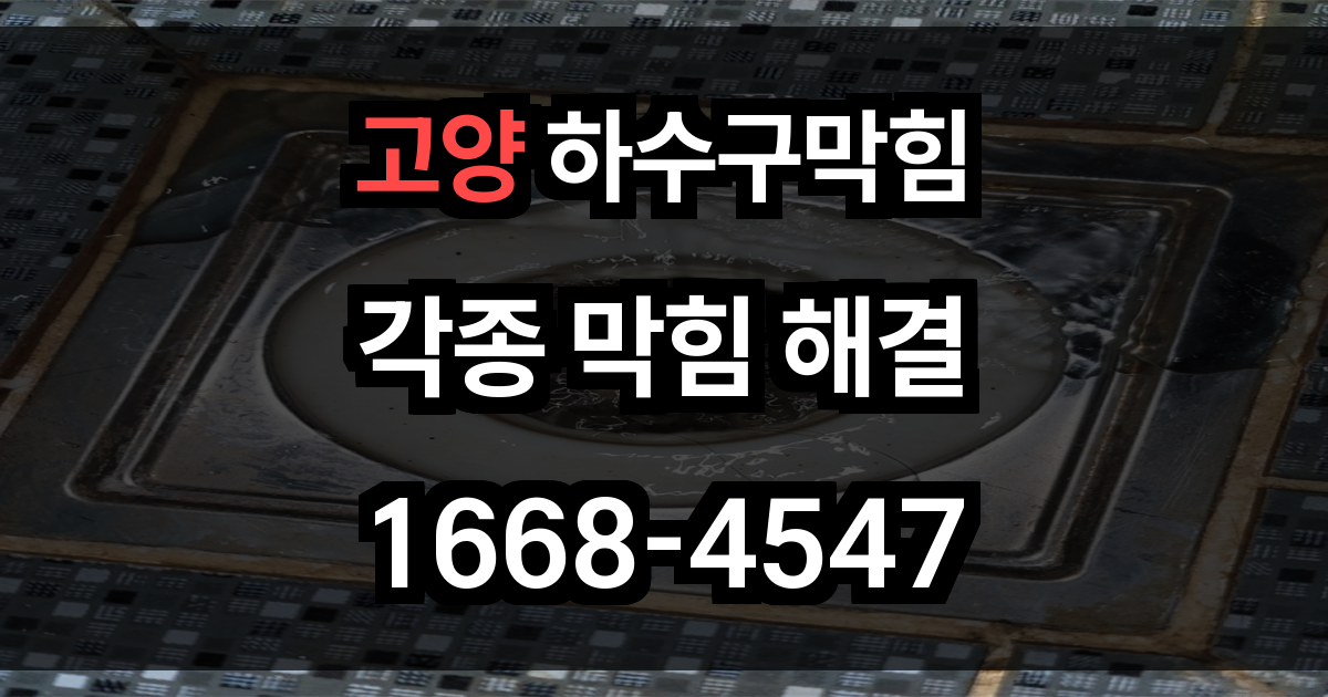 고양 하수구 막힘