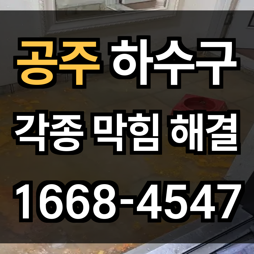 공주 하수구 막힘