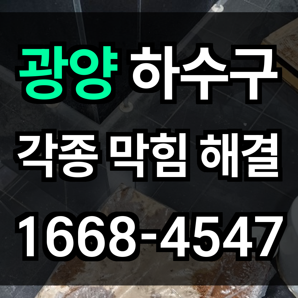 광양 하수구 막힘